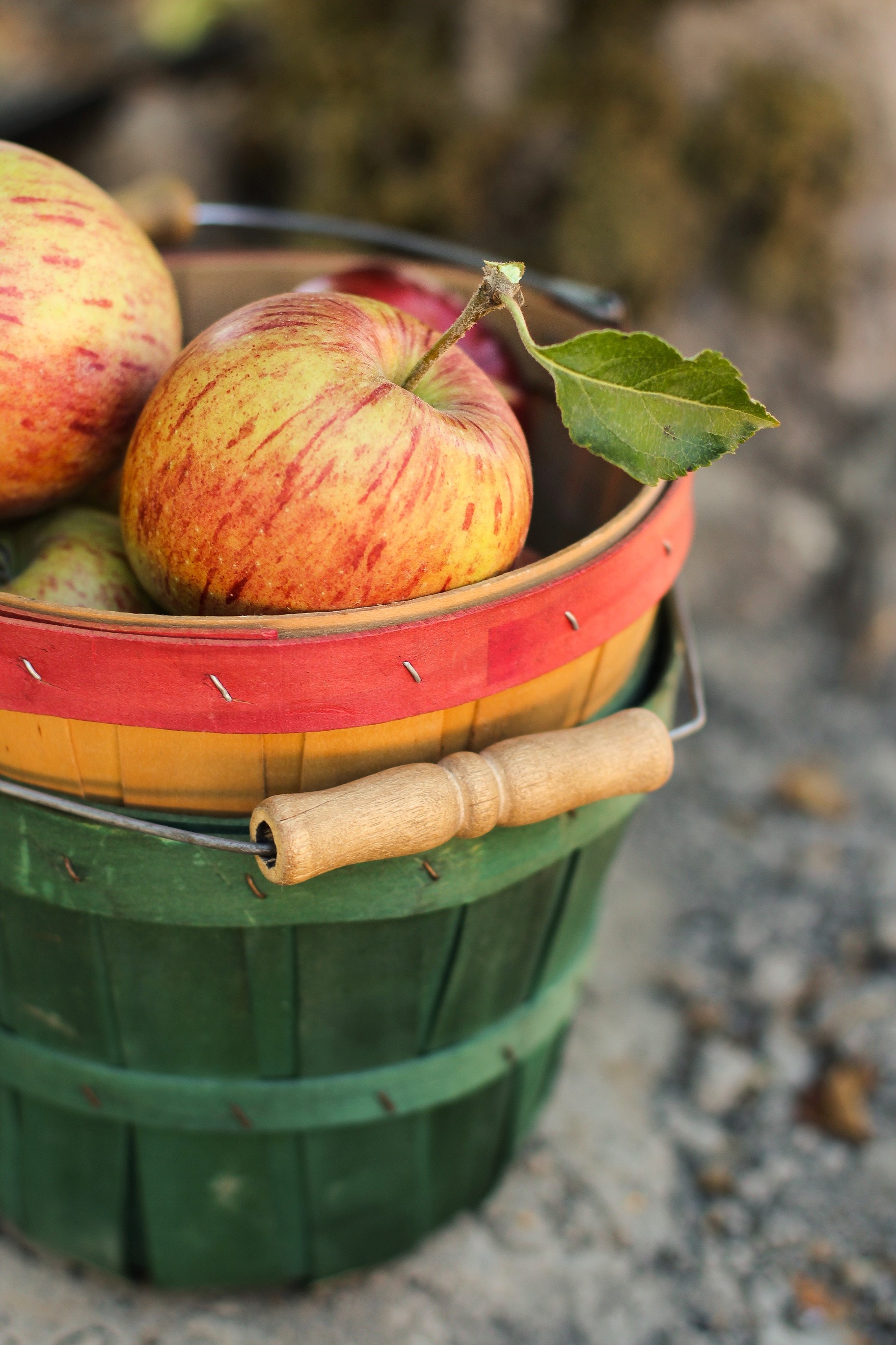 kbelík s jablky